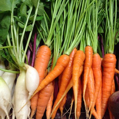 carrots as a plant based food