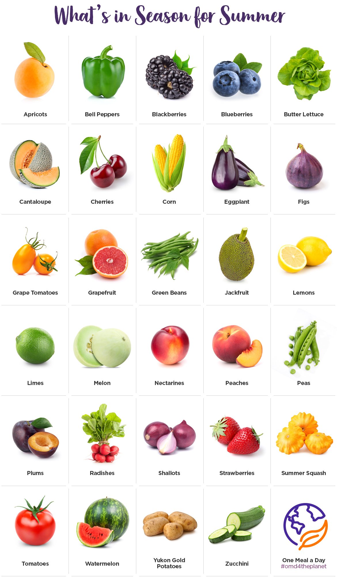 summer fruits and veggies