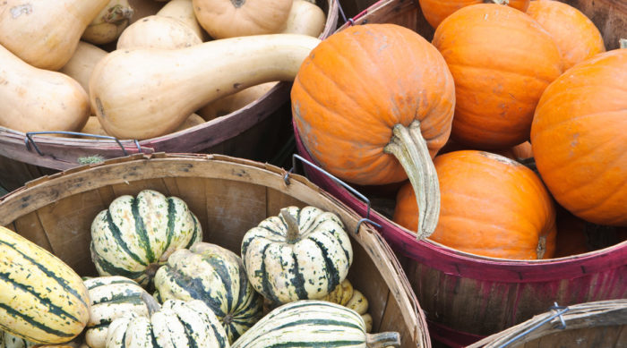 5 Winter Squash Recipes | One Meal A Day For The Planet | OMD