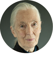 Dr. Jane Goodall 