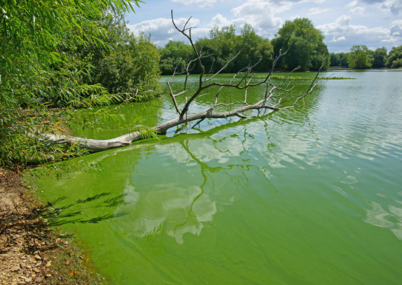 green water take action